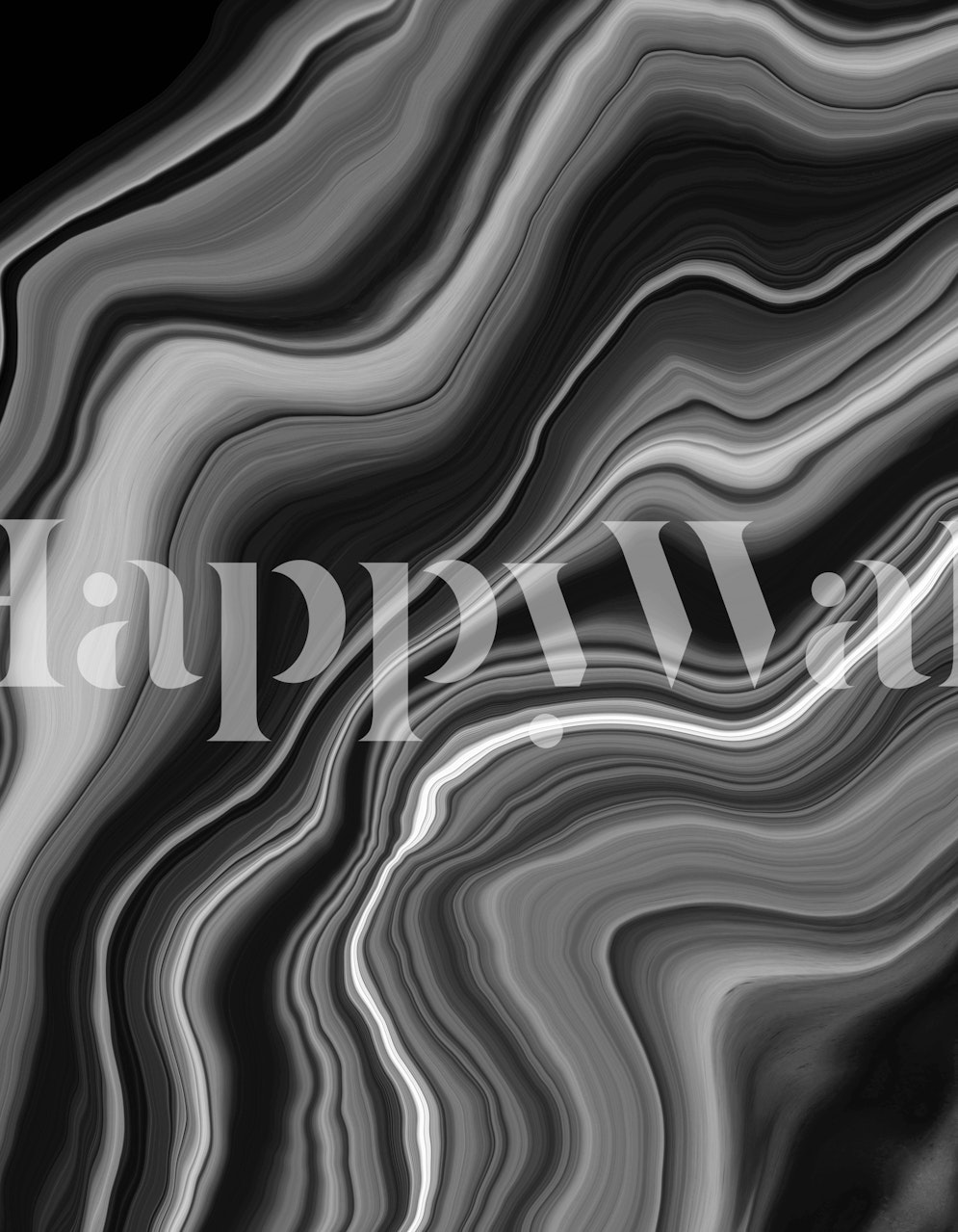 Abstract liquid black and gray agate pattern wall mural