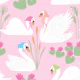 Cute pastel swans in lake