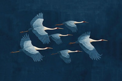 Mural