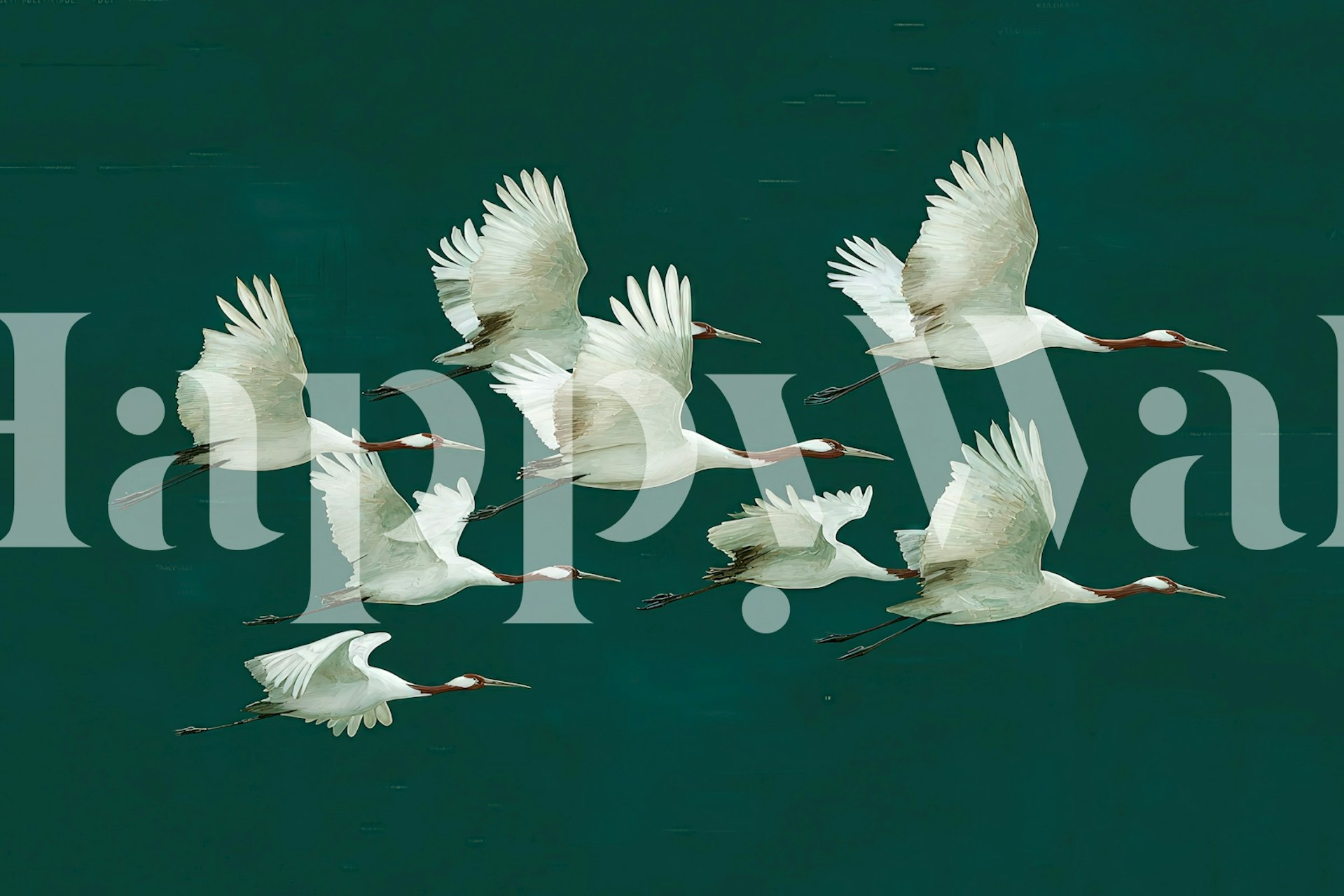 White cranes flying against a teal background wallpaper