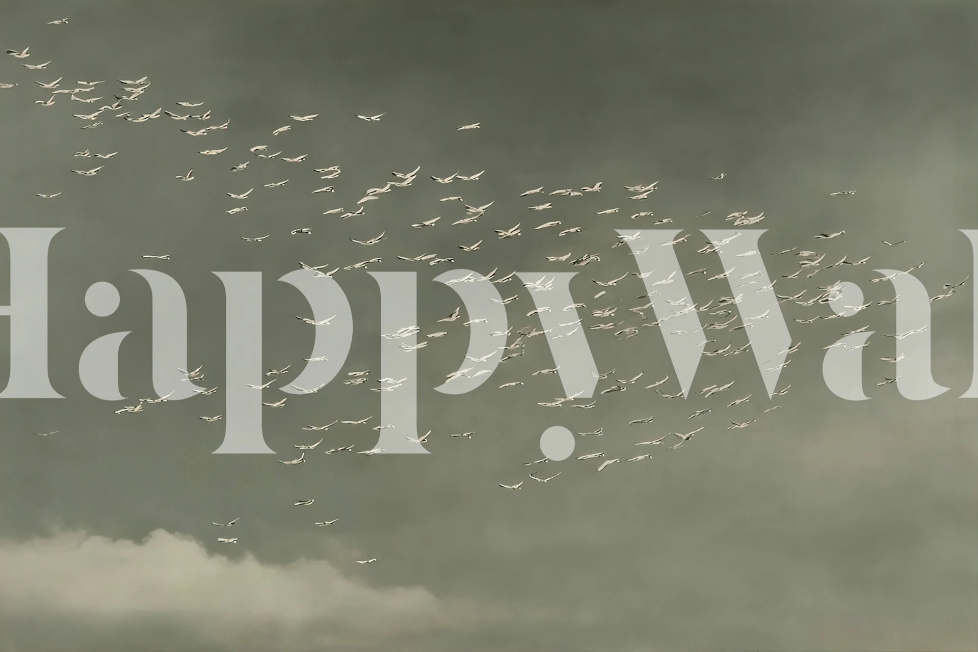 Skyward Migration Tapete in einem Raum