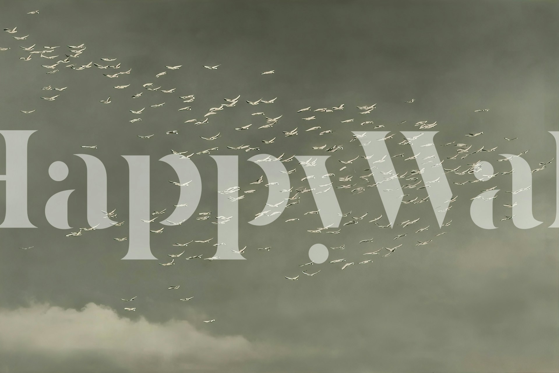 Skyward Migration wallpaper in a room