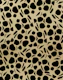 Animal Print Glam 5