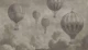 Above the Clouds - Shiitake