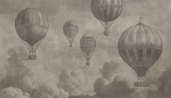 Above the Clouds - Shiitake