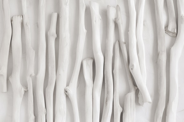 Seaside Treasures Whitewashed Wood