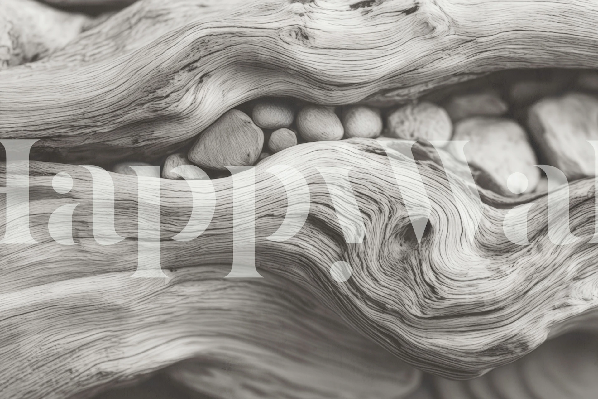 Pebble Driftwood Coastal Calm wallpaper in a room