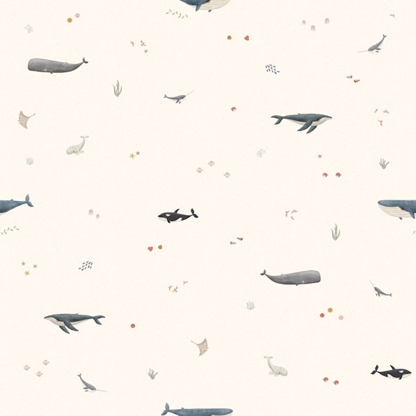 Oceanic Gentle Whales small scale