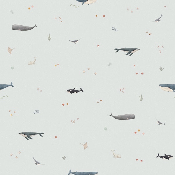 Ocean Journey with Whales small scale