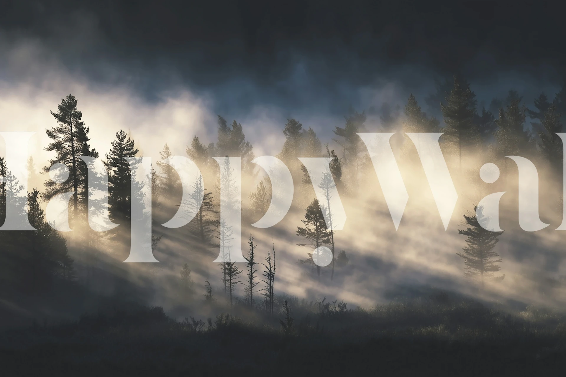 Mystic Forest Dawn-Tapete in einem modernen Raum