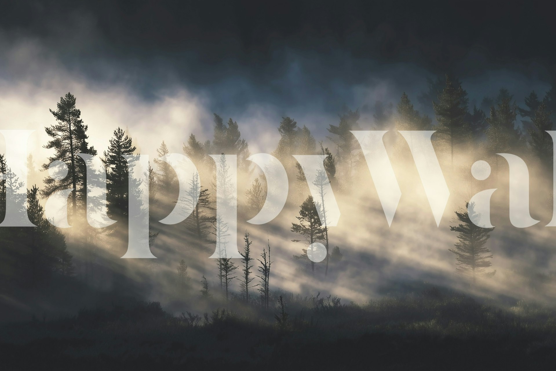 Tapeta Mystic Forest Dawn v moderní místnosti