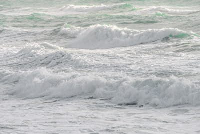 Τοιχογραφία