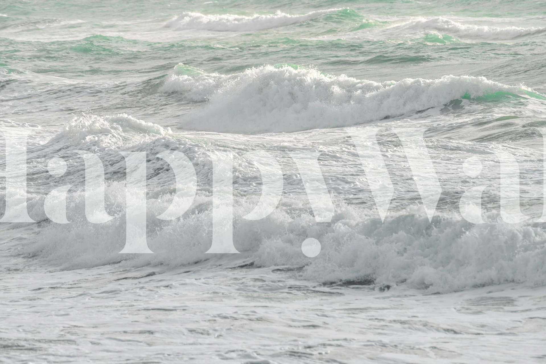 Seaside 50 wallpaper in a room