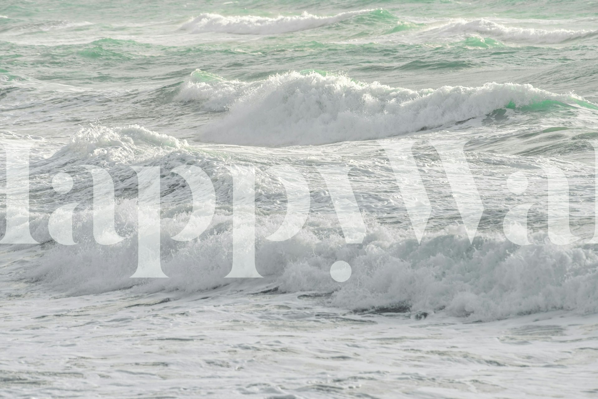 Seaside 50 wallpaper in a room