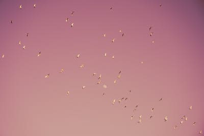 Τοιχογραφία