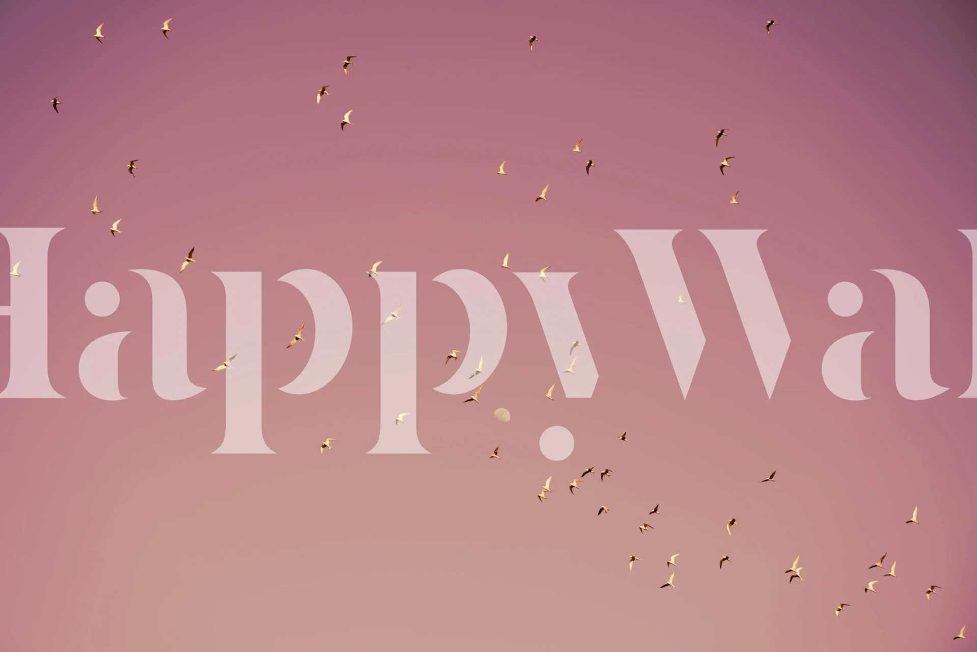 Tapeta Gulf of Eilat zobrazená v místnosti