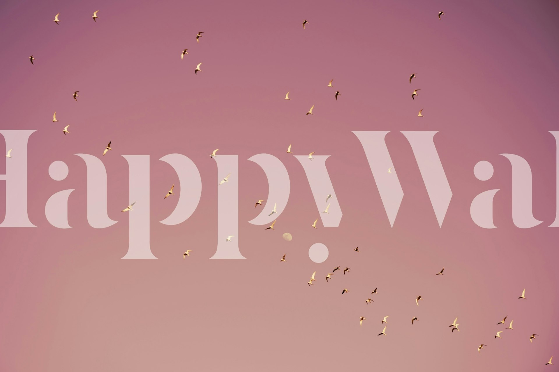 Birds flying against a pink sky wallpaper