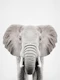 Elephant Grandeur Scene