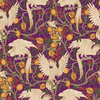 Cockatoo and Pomegranate in purple wallpaper