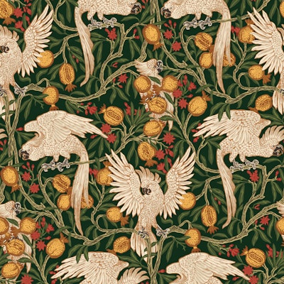 Pattern