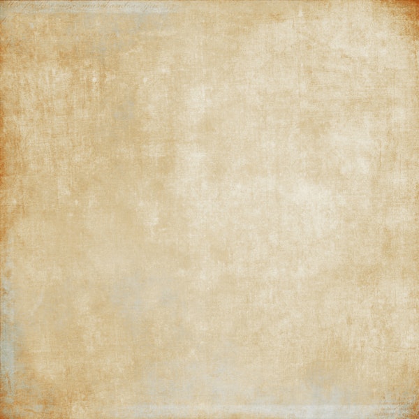 Textured Earthy Ochre Beige