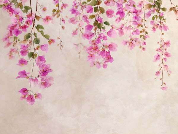 Blooming Bougainvillea Bliss