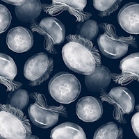 Translucent Moon Jellyfish tapety