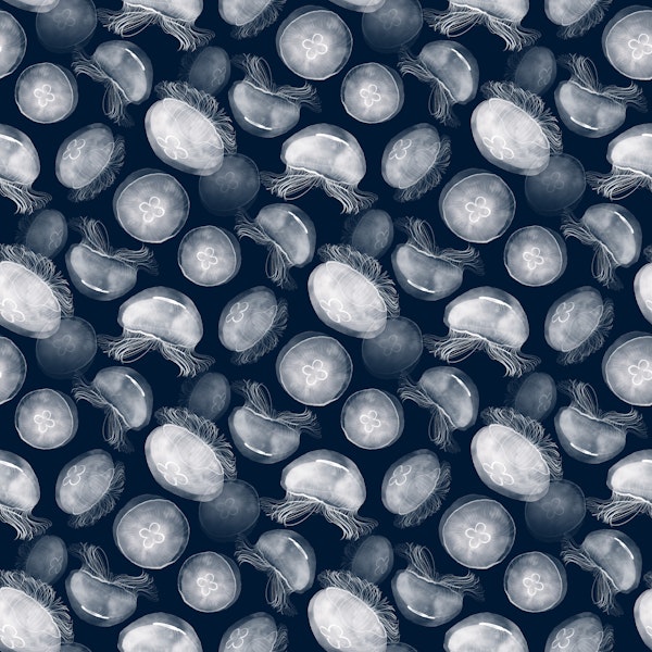 Translucent Moon Jellyfish - small