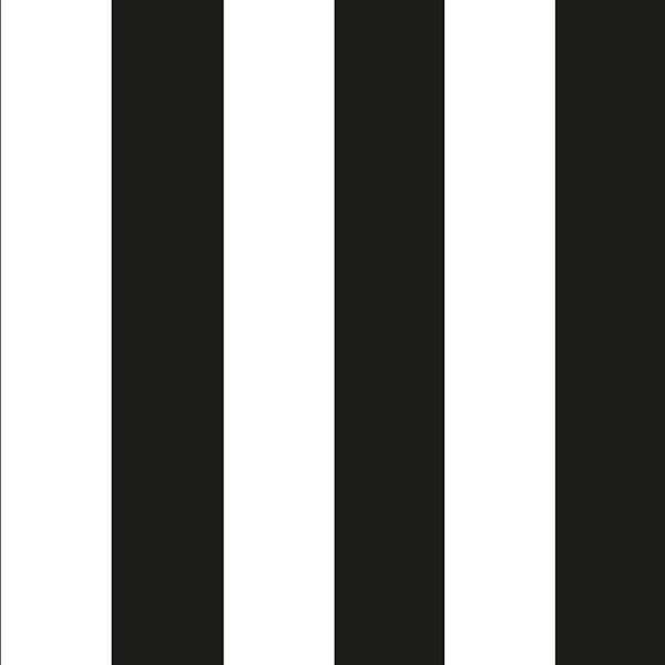 Modern black white lines