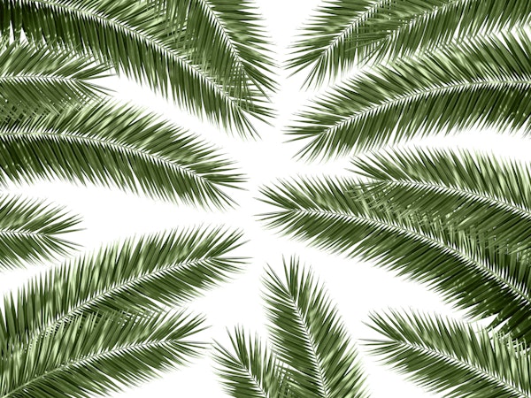 Palm Leaves Finesse Pattern 1