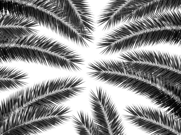 Palm Leaves Finesse Pattern 2