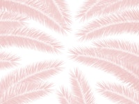 Palm Leaves Finesse Pattern 3 tapet