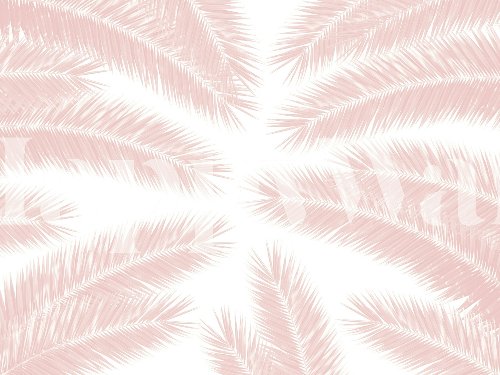 Palm Leaves Finesse Pattern 3 wallpaper in a room