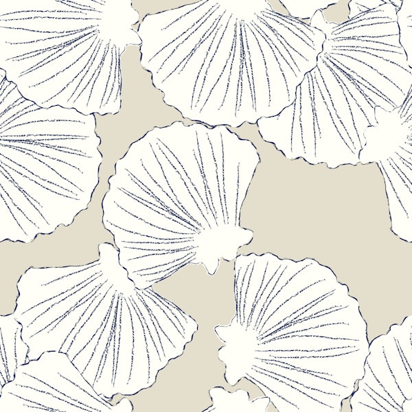 Blue white coastal shells drawn