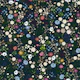 Cute daisies colorful flowers