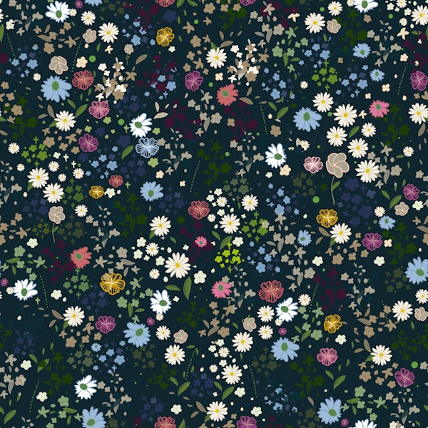 Cute daisies colorful flowers