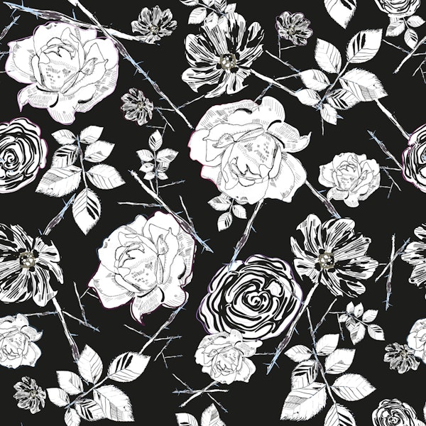 Black white peony roses