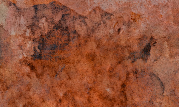 Rustic Earth Tones