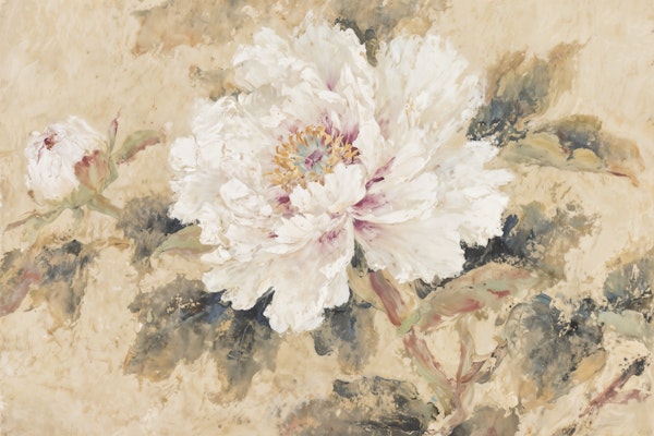 Classic Peony Canvas