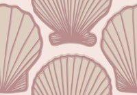 Scallop shells in soft pink wallpaper