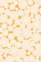 Morning Flower Glow in yellow wallpaper