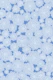 Iced flowers in blue