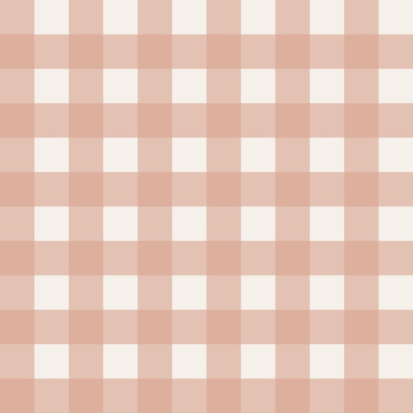 Mini Blush Gingham Charm