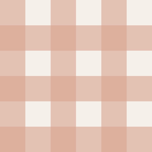Blush Gingham Charm