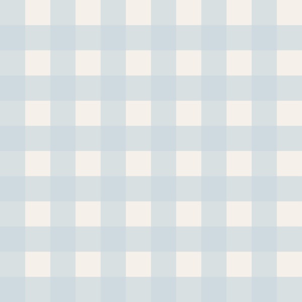 Mini Classic Blue Gingham Chic Vichy