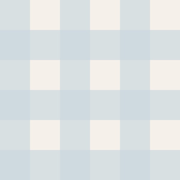Classic Blue Gingham Chic
