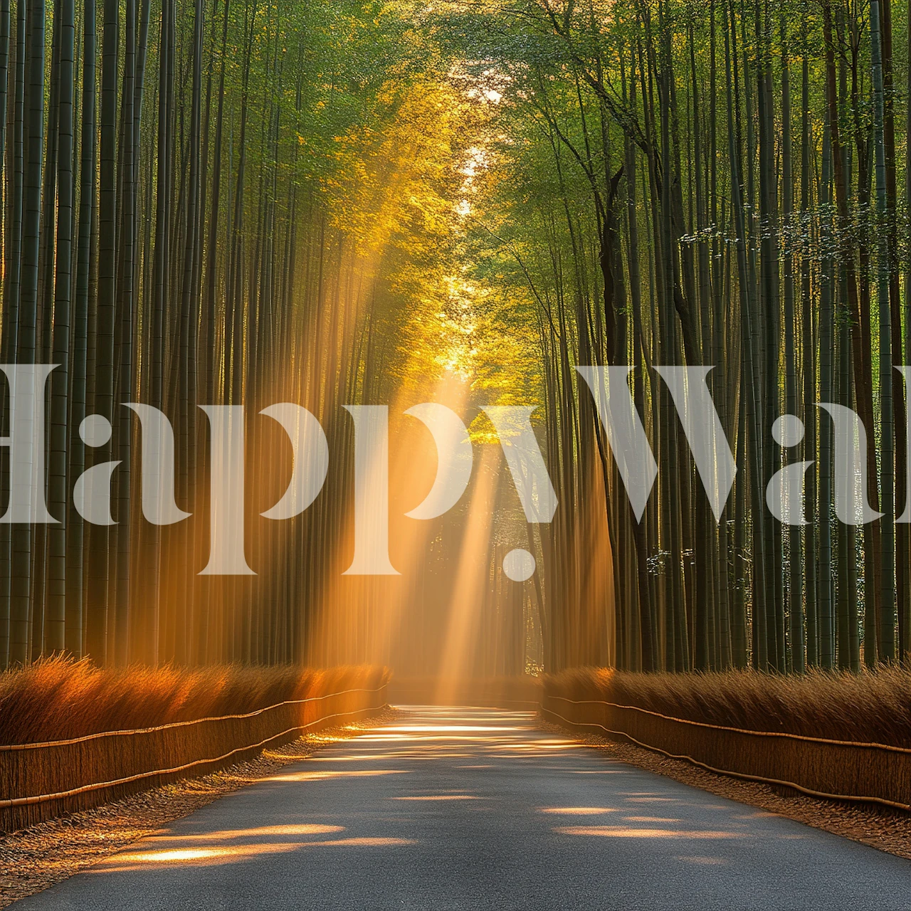 Papel pintado Sunlit Bamboo Pathway en una habitación