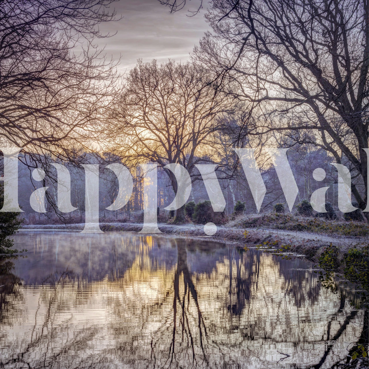 Winter landscape with sunrise reflecting on calm lake water wallpaper