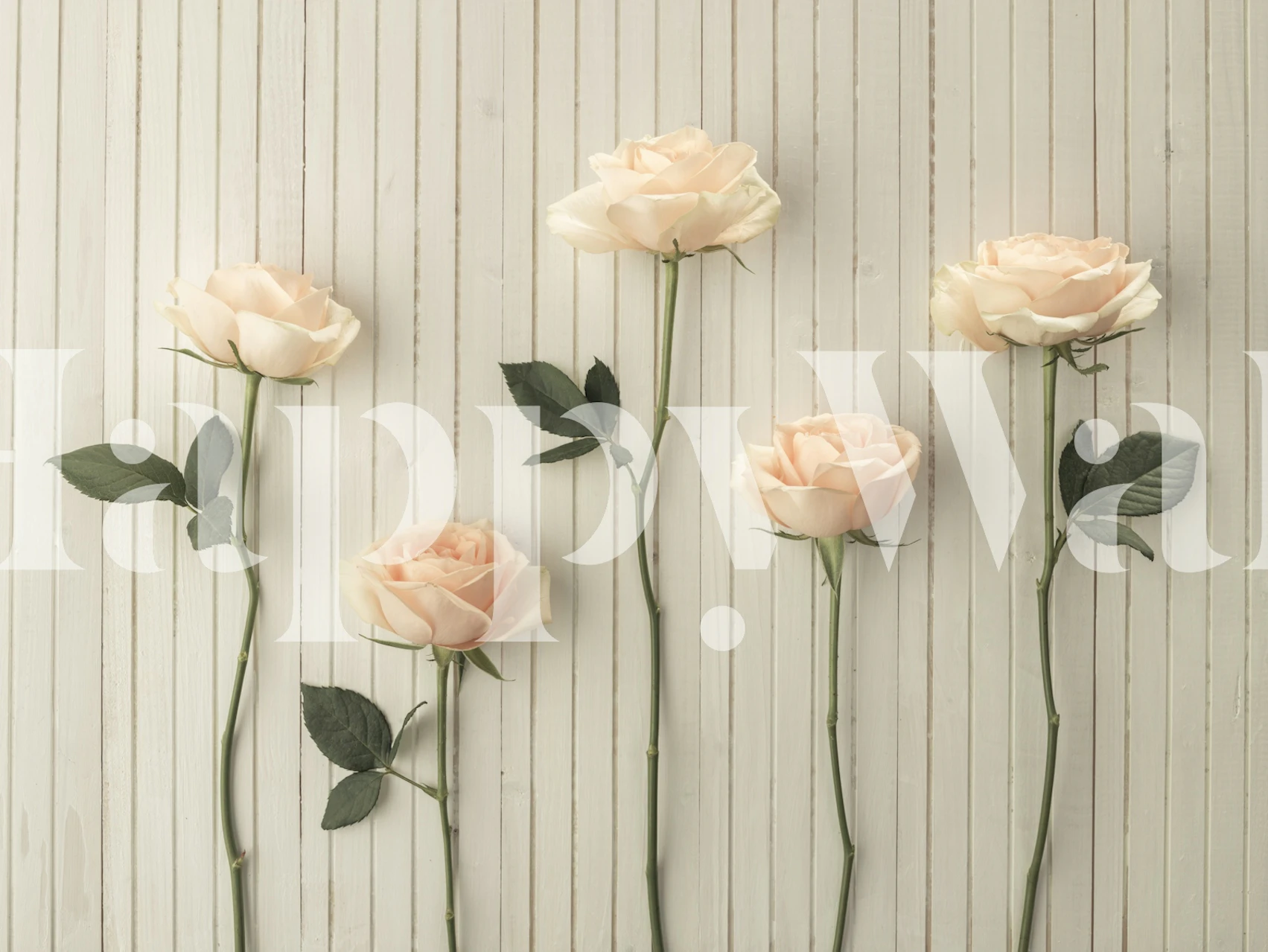 Elegant Pastel Roses wallpaper in a room