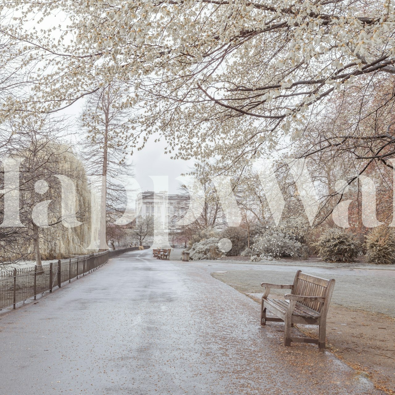 St James Park wallpaper displayed in a room